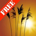 Reeds Free Live Wallpaper アイコン