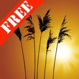 Reeds Free Live Wallpaper иконка