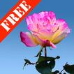 Rose Garden Free LWP