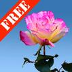 ”Rose Garden Free LWP