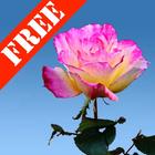 Rose Garden Free icône