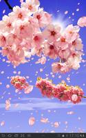 Sakura Free plakat