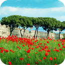 Sea of Poppies Live Wallpaper APK