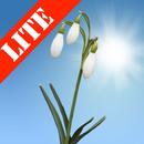 Snowdrops Lite-APK