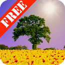 Spring Scene Free APK