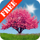 Spring Trees Free آئیکن
