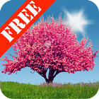 Spring Trees Free icono