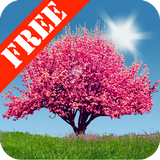 Spring Trees Free Zeichen