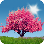 Spring Trees Live Wallpaper آئیکن