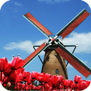 Tulip Windmill Free-APK