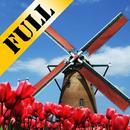 Tulip Windmill Live Wallpaper APK