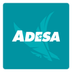 ADESA Marketplace