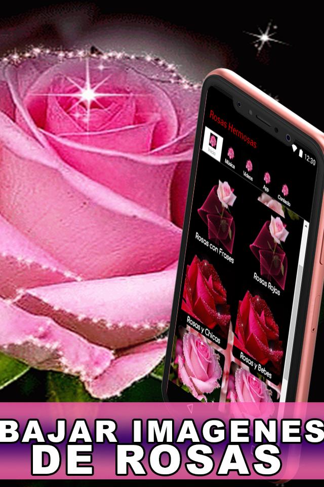  Android용 Imágenes De Hermosas Rosas Gratis Hermosas Flores APK 다운로드