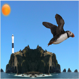 Flying Puffin