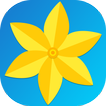 Gallery Ad Free