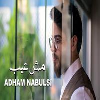 Songs of Adham Al-Nabulsi 2020 screenshot 2