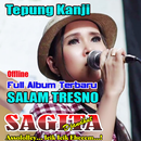 Full Album Eny Sagita Salam Tresno terbaru 2021-APK