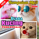 Kumpulan MP3 Suara Kucing Offline Terlengkap APK