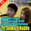 Lagu Pop Versi Akustik Tri Suaka ft Nabila Offline APK