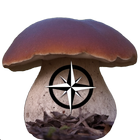 The Mushroom Navigator icône