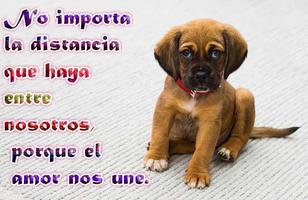 Poster Frases de despedida y Adiós