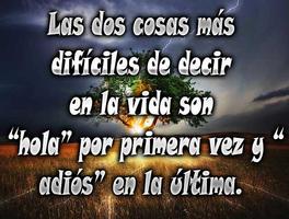2 Schermata Frases de despedida y Adiós