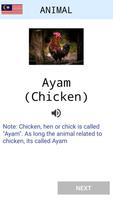 Learn Malay screenshot 3