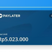 Cara Aktifkan Dana Paylater APK