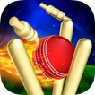 ”RunOut Master - Cricket World 