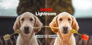 Lightroom: edita fotos y video