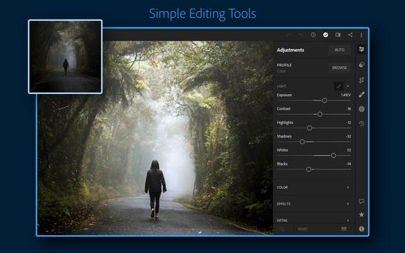 Adobe Lightroom - Photo Editor & Pro Camera screenshot 8