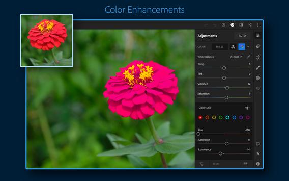 Adobe Lightroom - Photo Editor & Pro Camera 截图 10