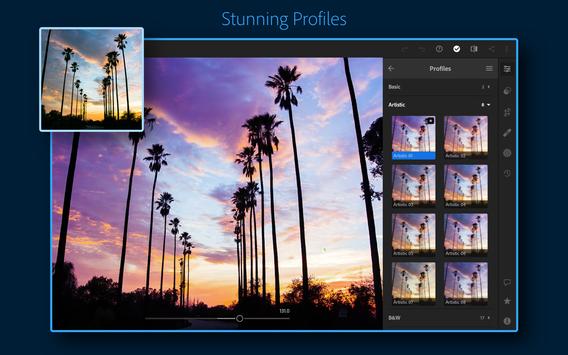 Adobe Lightroom - Photo Editor & Pro Camera 截图 11