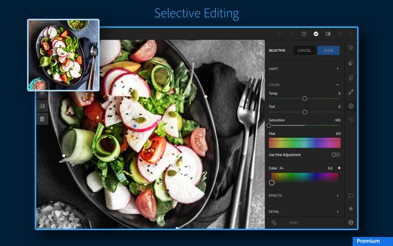 Adobe Lightroom - Photo Editor & Pro Camera 截图 14
