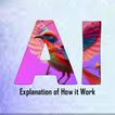 AdobeAI Frfly Explanation