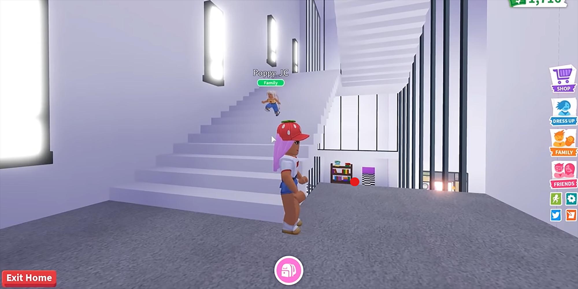 Roblox Adopt Me Mini World