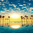 Beautiful Sunset Wallpaper New APK