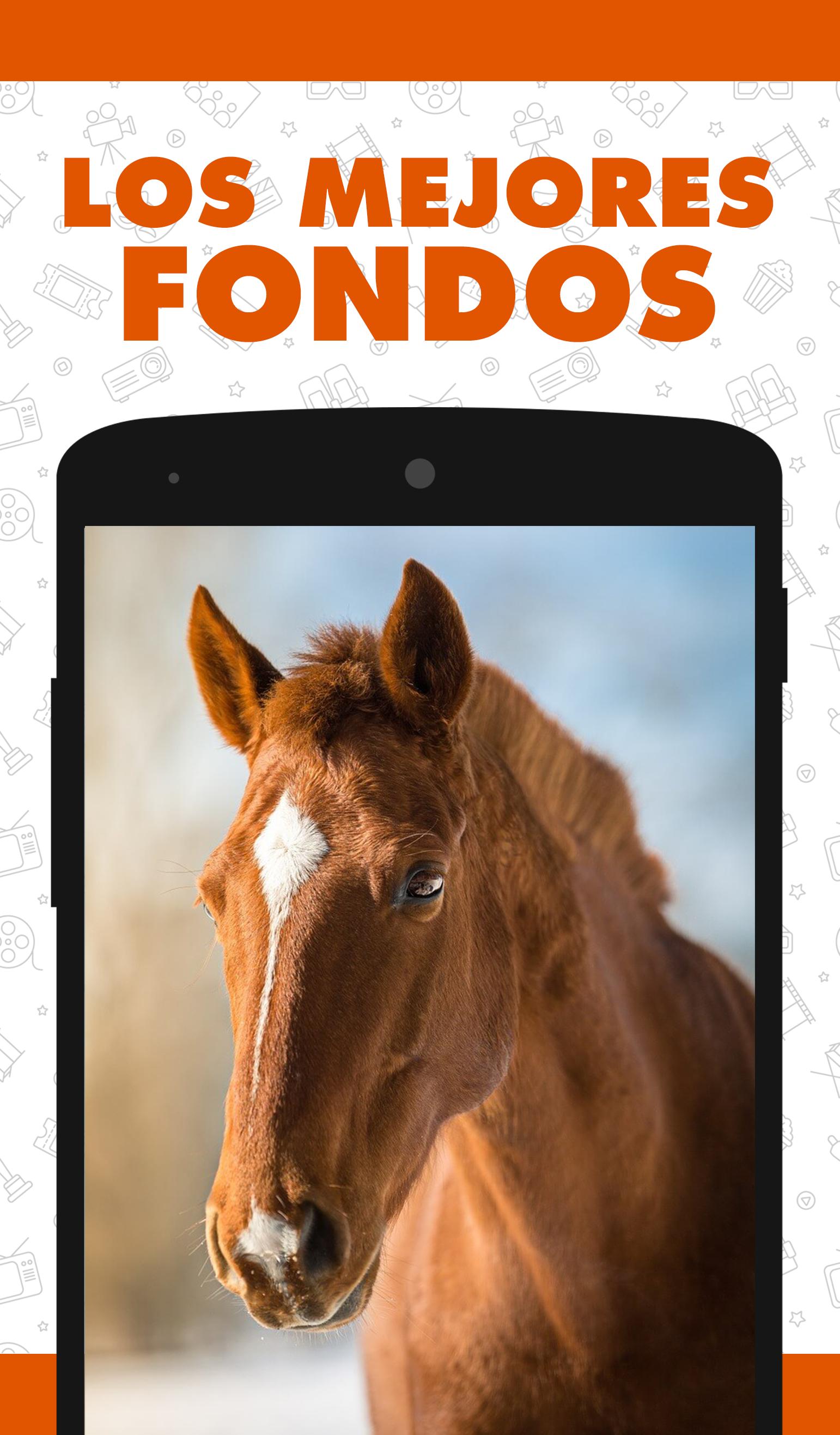 Fondos de Pantalla de Caballos HD Wallpaper Gratis APK pour Android  Télécharger