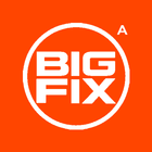 Bigfix Admin icône