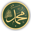 اناشيد المولد النبوي ﷺ 2022 بدون نت يضم 100 انشودة