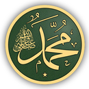 اناشيد المولد النبوي ﷺ 2022 بدون نت يضم 100 انشودة APK