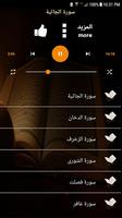 تعلم القرآن ايمن سويد بدون نت لتحقيظ القرآن الكريم captura de pantalla 1