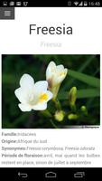 Bulbes à Fleurs স্ক্রিনশট 3