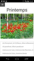 Bulbes à Fleurs পোস্টার