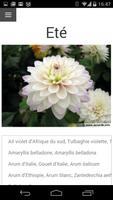 Bulbes à Fleurs স্ক্রিনশট 2
