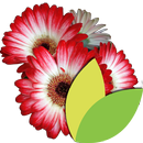 Encyclopédie Jardin APK