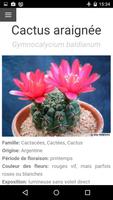 برنامه‌نما Au Cactus عکس از صفحه
