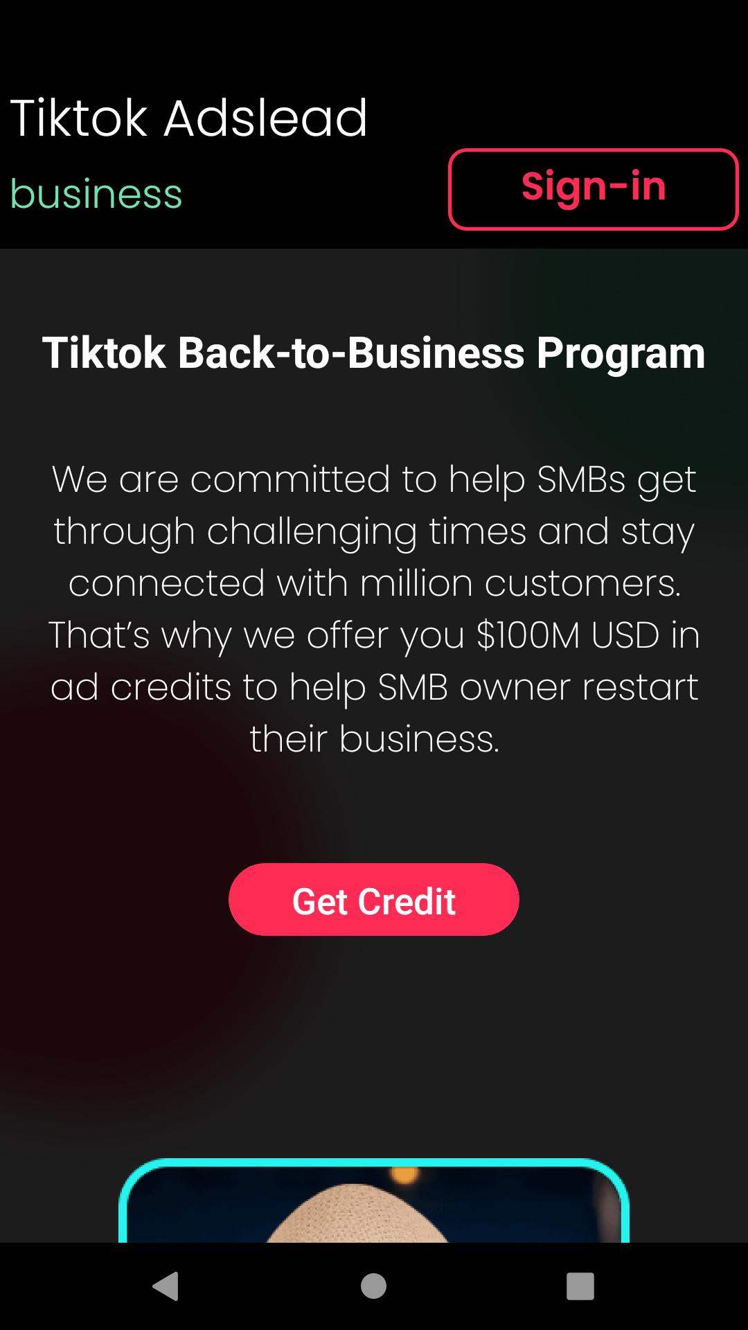 Tiktok business manager