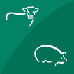 SAFE-GUARD CALCULATOR icon