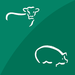 SAFE-GUARD CALCULATOR icon